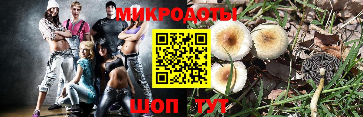 Елец  Галлюциногенные грибы мицелий  Вход с VPN  Галлюциногенные грибы прущие грибы 